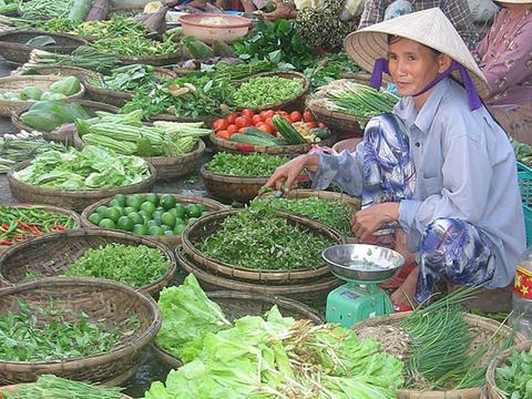 Red Bridge Cooking Class Hoi An Vietnam